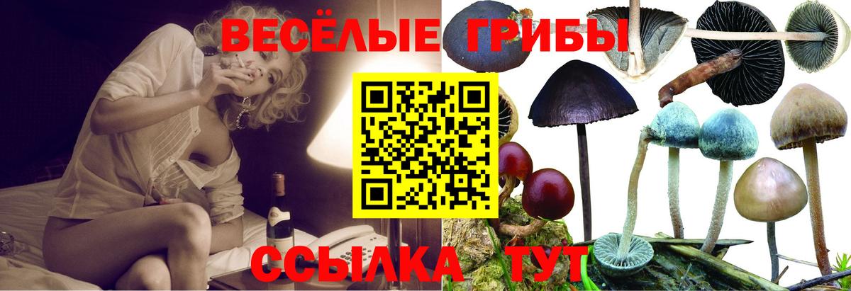 Псилоцибиновые грибы ЛСД Северск